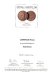 carrefour_medal_europejski.pdf