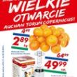 Największy wybór i najniższe ceny w Auchan Toruń Copernicus i Auchan Bytom