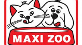 Poznańskie Maxi Zoo i IKEA Franowo wspólnie dla dobra czworonożnych przyjaciół