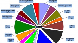 Rynek dystrybucji materiałów budowlanych wzrósł ponad 7% i jest wart 42mld zł BIZNES, Handel - IBP Research diagnozuje, że rynek dystrybucji materiałów budowlanych w roku 2016 osiągnął sprzedaż prawie 42 mld zł. W latach 2006-2016 udział hurtowni spadł z 67% do 50%, udział sklepów specjalistycznych z 9% do 7%, tymczasem udział hiper/supermarketów wzrósł z 25% na 43%!