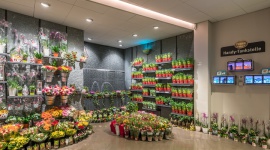 Jak oświetlono Store of the Year 2017? BIZNES, Handel - Niemiecki Związek Handlu przyznaje swoją nagrodę, by docenić najciekawsze i najbardziej innowacyjne rozwiązania wdrożone w sklepach w minionym roku. Czego od laureatów mogą nauczyć się polscy kupcy?